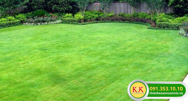 TRỒNG CỎ PHỦ XANH NHÀ MÁY