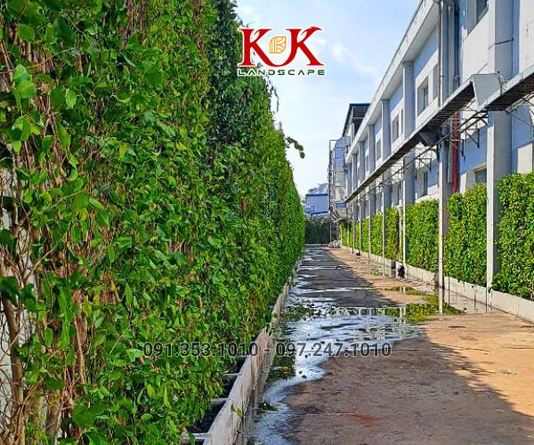 GIẢI PHÁP NÂNG CAO MẢNG XANH CHO NHÀ MÁY, XÍ NGHIỆP, NHÀ XƯỞNG