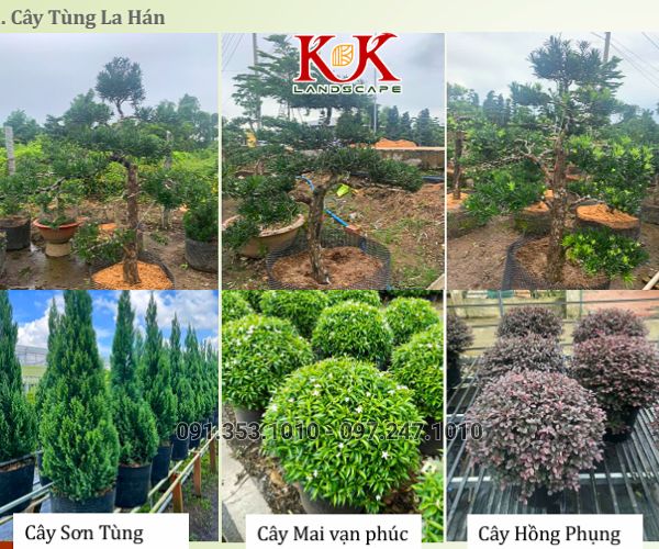 THIẾT KẾ CẢNH QUAN NHÀ MÁY VICOME – KHU CÔNG NGHIỆP THÀNH THÀNH CÔNG, TÂY NINH