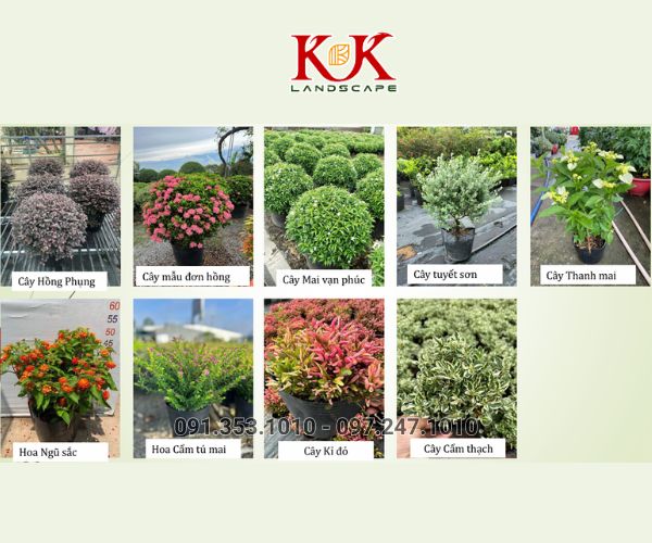 THIẾT KẾ CẢNH QUAN NHÀ MÁY VICOME – KHU CÔNG NGHIỆP THÀNH THÀNH CÔNG, TÂY NINH