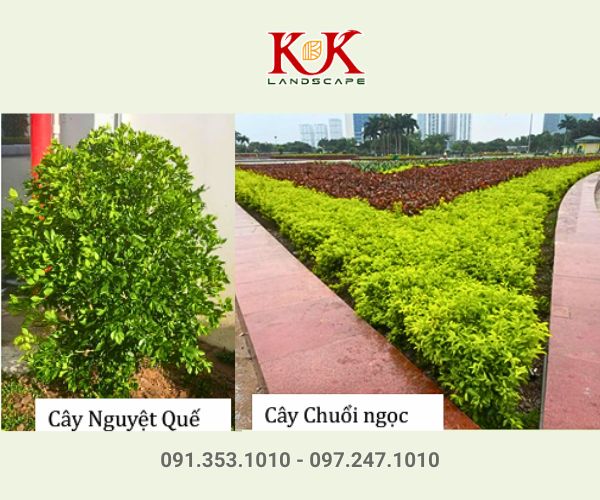 THIẾT KẾ CẢNH QUAN NHÀ MÁY VICOME – KHU CÔNG NGHIỆP THÀNH THÀNH CÔNG, TÂY NINH