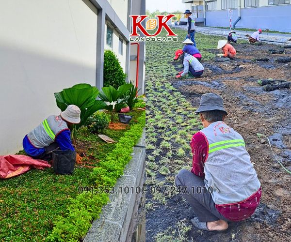 THIẾT KẾ VÀ THI CÔNG CẢNH QUAN NHÀ MÁY, KHU CÔNG NGHIỆP – GIẢI PHÁP XANH TOÀN DIỆN TỪ KK LANDSCAPE