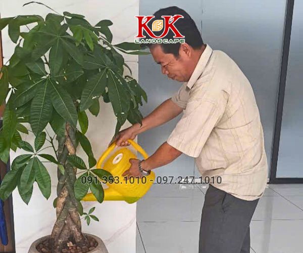 THI CÔNG CẢNH QUAN NHÀ MÁY TOP SPORTS TEXTILE VIỆT NAM – DỰ ÁN TIÊU BIỂU TẠI TÂY NINH