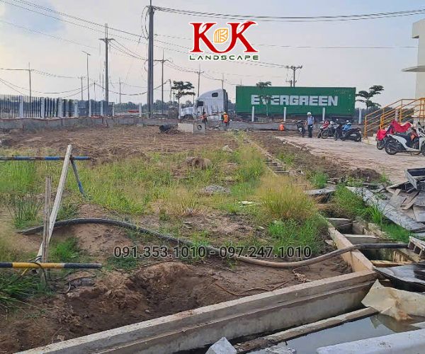 TRỒNG CỎ NHUNG NHẬT CHO NHÀ MÁY KINGFA VIỆT NAM – GIAI ĐOẠN 1