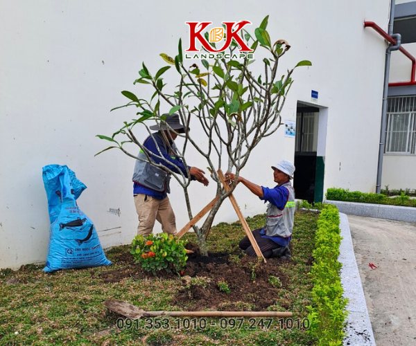 DỰ ÁN CẢNH QUAN NHÀ MÁY NGŨ KIM HUNG HING HONGKONG – LONG AN