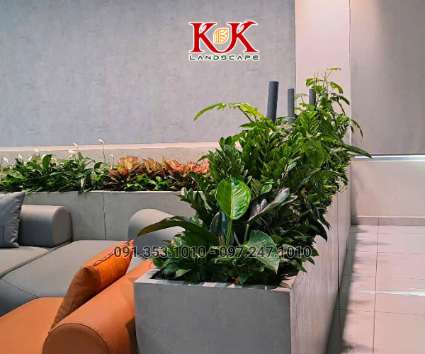 THI CÔNG CẢNH QUAN NHÀ MÁY TOP SPORTS TEXTILE VIỆT NAM – DỰ ÁN TIÊU BIỂU TẠI TÂY NINH