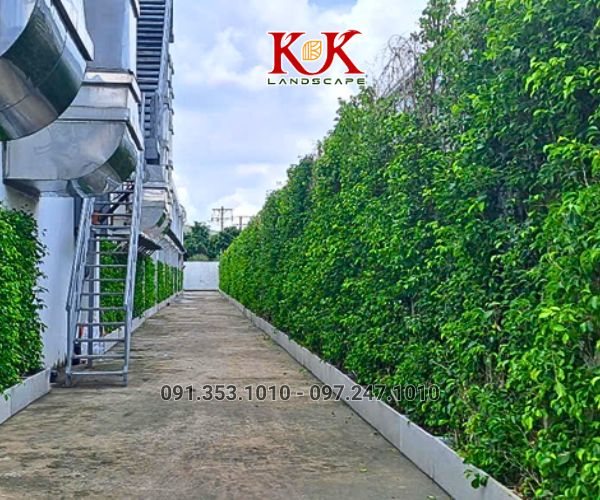 GIẢI PHÁP NÂNG CAO MẢNG XANH CHO NHÀ MÁY, XÍ NGHIỆP, NHÀ XƯỞNG