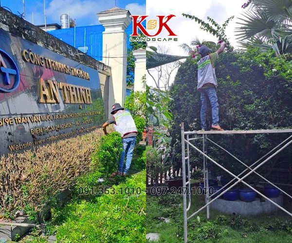 CHĂM SÓC CẢNH QUAN CÂY XANH NHÀ MÁY, KCN – DUY TRÌ MẢNG XANH BỀN VỮNG, THẨM MỸ
