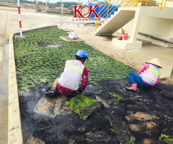 BÁO GIÁ THIẾT KẾ VÀ THI CÔNG CẢNH QUAN SÂN VƯỜN