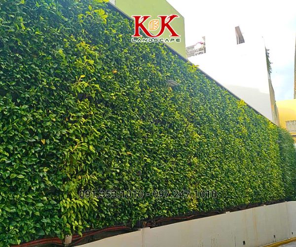 GIẢI PHÁP NÂNG CAO MẢNG XANH CHO NHÀ MÁY, XÍ NGHIỆP, NHÀ XƯỞNG