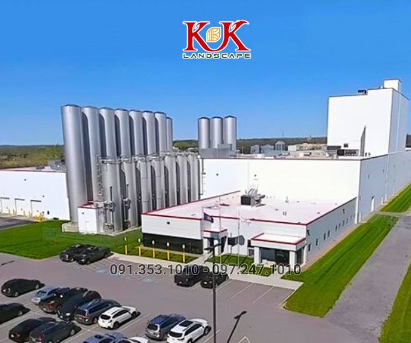 CHĂM SÓC CẢNH QUAN CÂY XANH NHÀ MÁY, KCN – DUY TRÌ MẢNG XANH BỀN VỮNG, THẨM MỸ