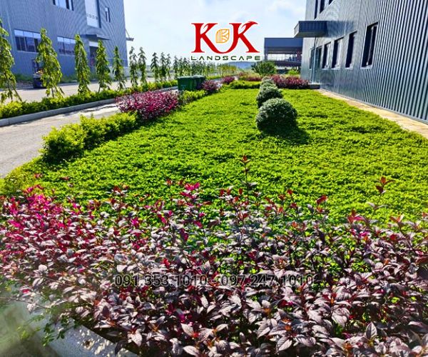 QUY TRÌNH TRIỂN KHAI THI CÔNG CẢNH QUAN NHÀ MÁY