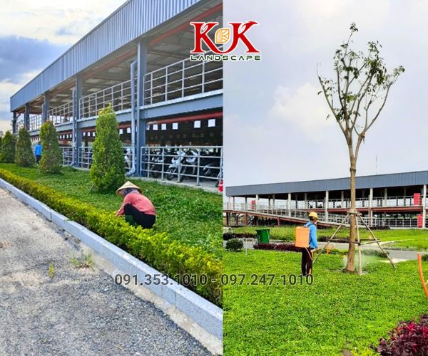 QUY TRÌNH TRIỂN KHAI THI CÔNG CẢNH QUAN NHÀ MÁY