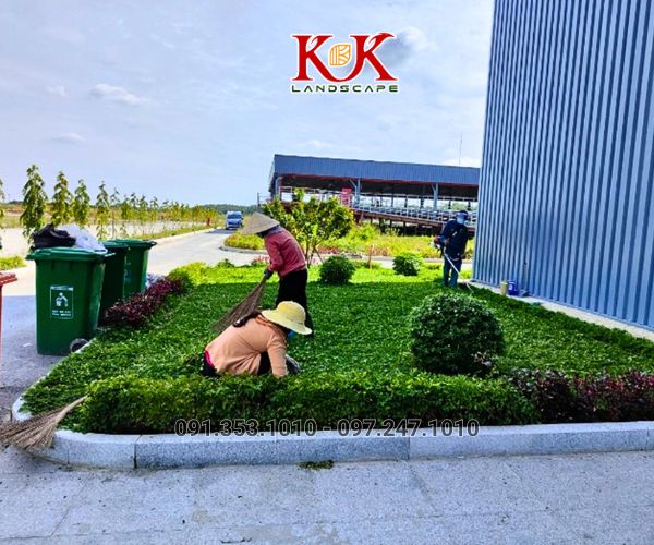 QUY TRÌNH TRIỂN KHAI THI CÔNG CẢNH QUAN NHÀ MÁY