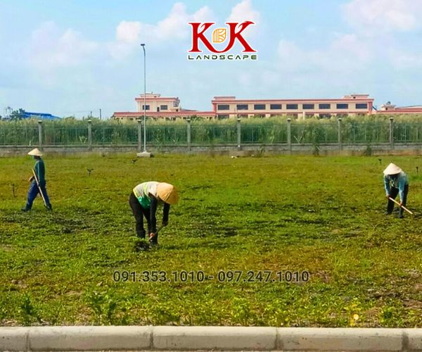 QUY TRÌNH TRIỂN KHAI THI CÔNG CẢNH QUAN NHÀ MÁY