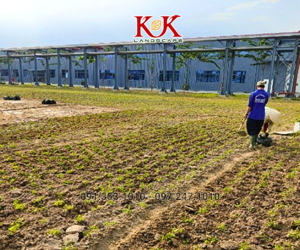 QUY TRÌNH TRIỂN KHAI THI CÔNG CẢNH QUAN NHÀ MÁY