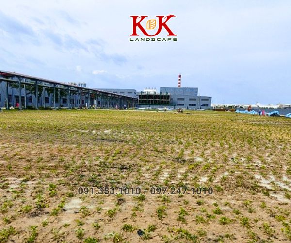 QUY TRÌNH TRIỂN KHAI THI CÔNG CẢNH QUAN NHÀ MÁY