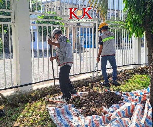 GIẢI PHÁP NÂNG CAO MẢNG XANH BẰNG HỆ TƯỜNG ĐỨNG CHO NHÀ MÁY CONSTANTIA VIỆT NAM