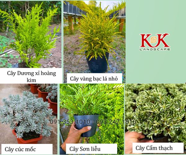 THIẾT KẾ CẢNH QUAN NHÀ MÁY VICOME – KHU CÔNG NGHIỆP THÀNH THÀNH CÔNG, TÂY NINH