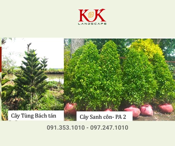 THIẾT KẾ CẢNH QUAN NHÀ MÁY VICOME – KHU CÔNG NGHIỆP THÀNH THÀNH CÔNG, TÂY NINH