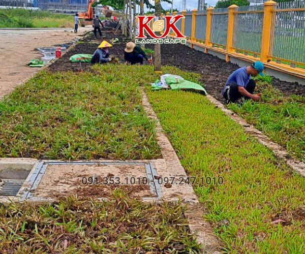 THI CÔNG CẢNH QUAN NHÀ MÁY TOP SPORTS TEXTILE VIỆT NAM – DỰ ÁN TIÊU BIỂU TẠI TÂY NINH