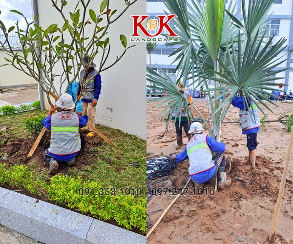 THIẾT KẾ VÀ THI CÔNG CẢNH QUAN NHÀ MÁY, KHU CÔNG NGHIỆP – GIẢI PHÁP XANH TOÀN DIỆN TỪ KK LANDSCAPE
