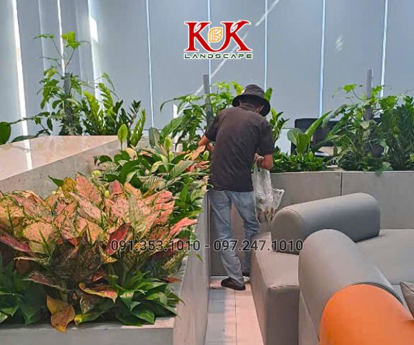 THI CÔNG CẢNH QUAN NHÀ MÁY TOP SPORTS TEXTILE VIỆT NAM – DỰ ÁN TIÊU BIỂU TẠI TÂY NINH