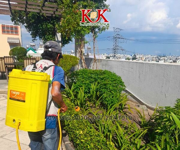 BÁO GIÁ TRỒNG CÂY BỤI, CÂY TRANG TRÍ CHO NHÀ MÁY, KCN