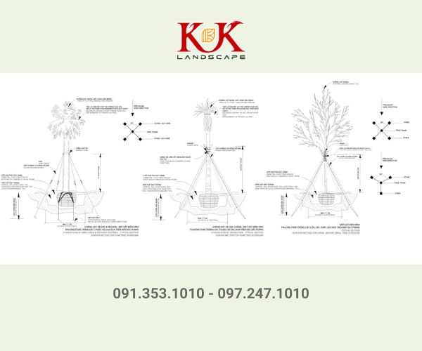 BÁO GIÁ TRỒNG CÂY XANH BÓNG MÁT CHO NHÀ MÁY, KCN