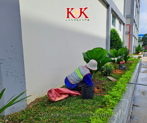 DỰ ÁN CẢNH QUAN NHÀ MÁY NGŨ KIM HUNG HING HONGKONG – LONG AN