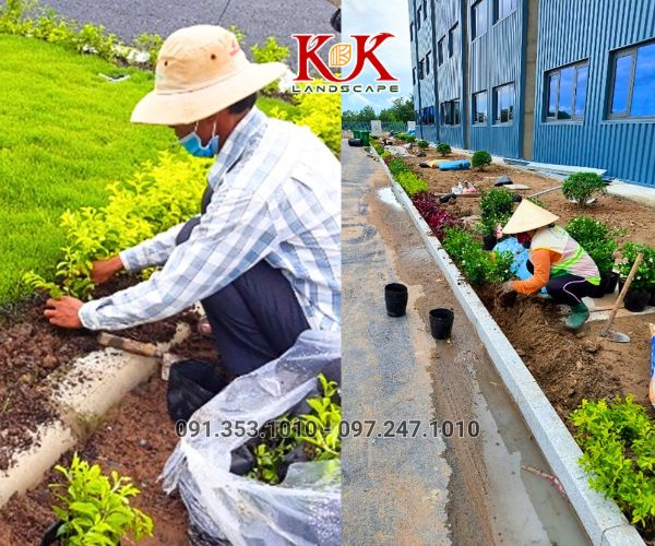 QUY TRÌNH TRIỂN KHAI THI CÔNG CẢNH QUAN NHÀ MÁY