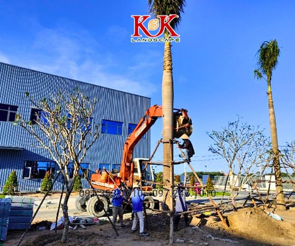 QUY TRÌNH TRIỂN KHAI THI CÔNG CẢNH QUAN NHÀ MÁY