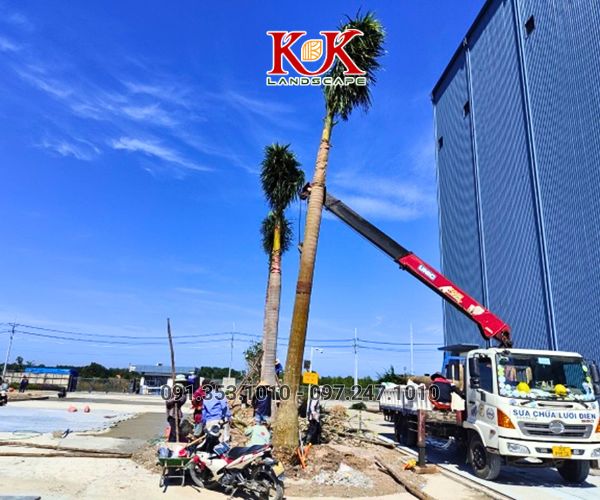 QUY TRÌNH TRIỂN KHAI THI CÔNG CẢNH QUAN NHÀ MÁY