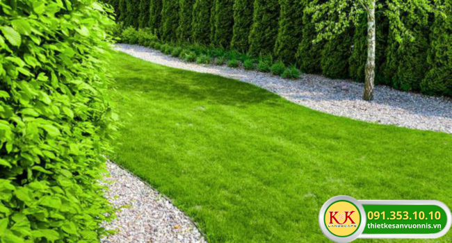 TRỒNG CỎ PHỦ XANH NHÀ MÁY