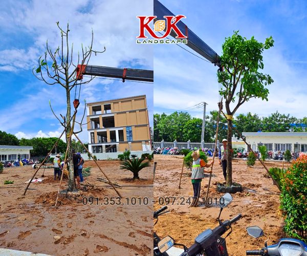 THIẾT KẾ VÀ THI CÔNG CẢNH QUAN NHÀ MÁY, KHU CÔNG NGHIỆP – GIẢI PHÁP XANH TOÀN DIỆN TỪ KK LANDSCAPE