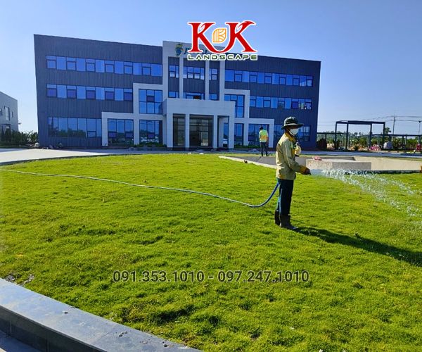 Thi công trồng cỏ thảm cho nhà máy