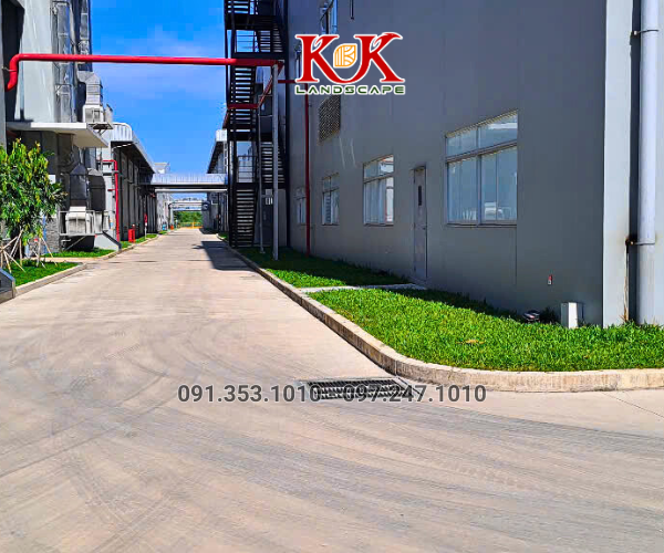 THI CÔNG CẢNH QUAN NHÀ MÁY TOP SPORTS TEXTILE VIỆT NAM – DỰ ÁN TIÊU BIỂU TẠI TÂY NINH