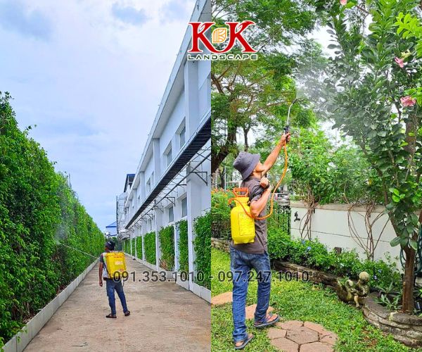 chăm sóc cảnh quan cây xanh nhà máy