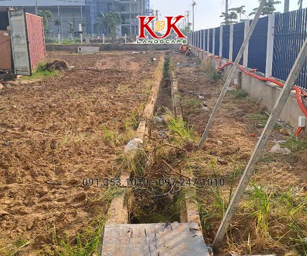 TRỒNG CỎ NHUNG NHẬT CHO NHÀ MÁY KINGFA VIỆT NAM – GIAI ĐOẠN 1