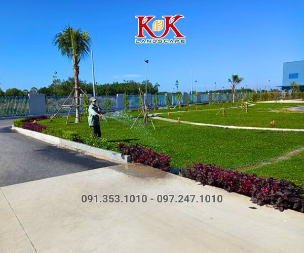 BÁO GIÁ TRỒNG CÂY BỤI, CÂY TRANG TRÍ CHO NHÀ MÁY, KCN