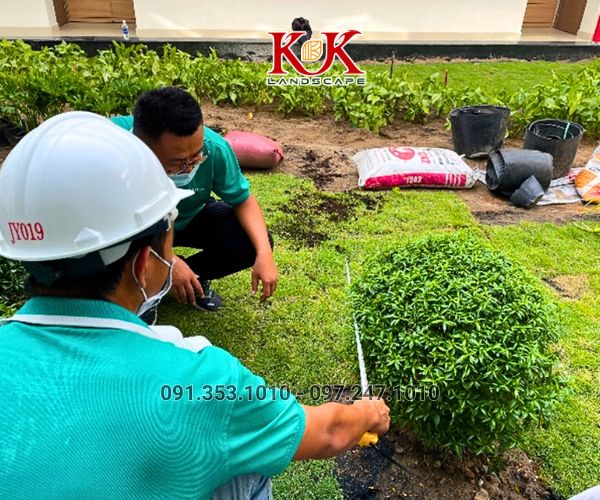 Thi công cảnh quan