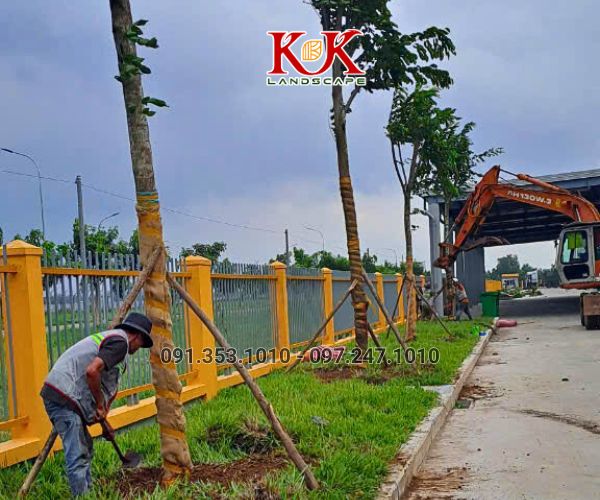 THI CÔNG CẢNH QUAN NHÀ MÁY TOP SPORTS TEXTILE VIỆT NAM – DỰ ÁN TIÊU BIỂU TẠI TÂY NINH