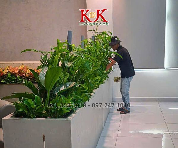 THI CÔNG CẢNH QUAN NHÀ MÁY TOP SPORTS TEXTILE VIỆT NAM – DỰ ÁN TIÊU BIỂU TẠI TÂY NINH