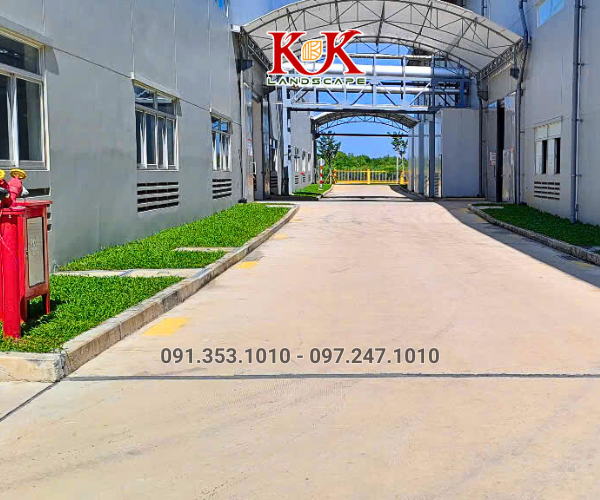 THI CÔNG CẢNH QUAN NHÀ MÁY TOP SPORTS TEXTILE VIỆT NAM – DỰ ÁN TIÊU BIỂU TẠI TÂY NINH