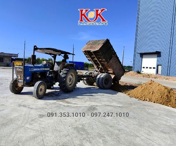 BÁO GIÁ THI CÔNG TRỒNG CỎ THẢM CHO NHÀ MÁY, KHU CÔNG NGHIỆP