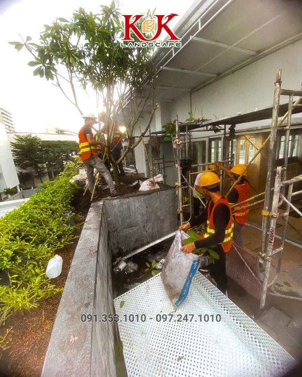 THIẾT KẾ THI CÔNG CẢNH QUAN SÂN VƯỜN – GIẢI PHÁP NÂNG TẦM KHÔNG GIAN SỐNG HIỆN ĐẠI