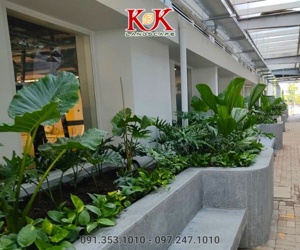 THIẾT KẾ THI CÔNG CẢNH QUAN SÂN VƯỜN – GIẢI PHÁP NÂNG TẦM KHÔNG GIAN SỐNG HIỆN ĐẠI