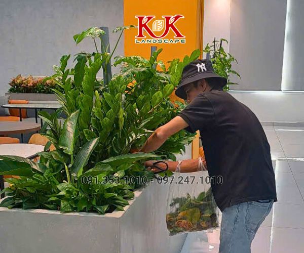 THI CÔNG CẢNH QUAN NHÀ MÁY TOP SPORTS TEXTILE VIỆT NAM – DỰ ÁN TIÊU BIỂU TẠI TÂY NINH