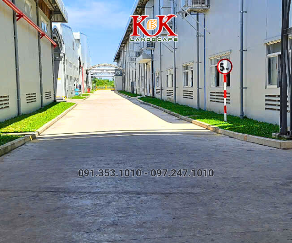 THI CÔNG CẢNH QUAN NHÀ MÁY TOP SPORTS TEXTILE VIỆT NAM – DỰ ÁN TIÊU BIỂU TẠI TÂY NINH