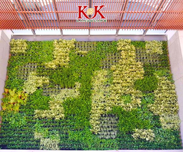 BÁO GIÁ THIẾT KẾ VÀ THI CÔNG CẢNH QUAN SÂN VƯỜN